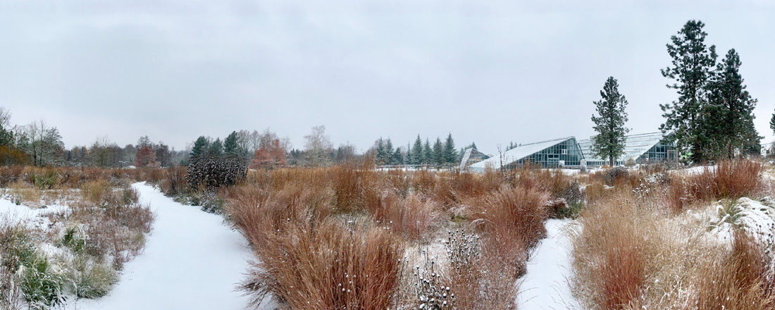 Prärie des ÖBG im Winter