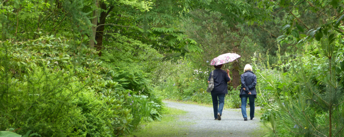 Plauderrunde Gartenglück im Mai