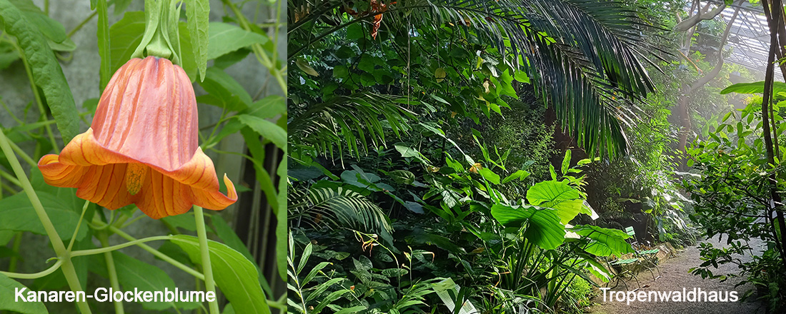 Reise ins grüne Paradies