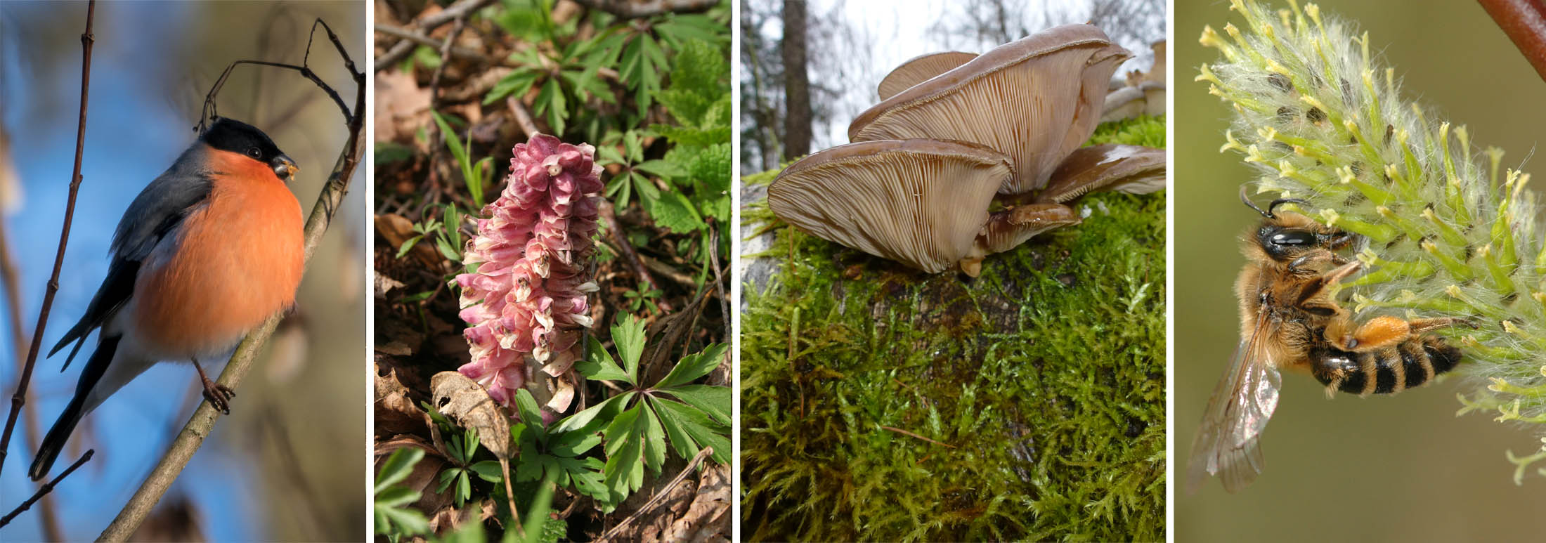 Führung Auftakt "Ordentlich schlampig"