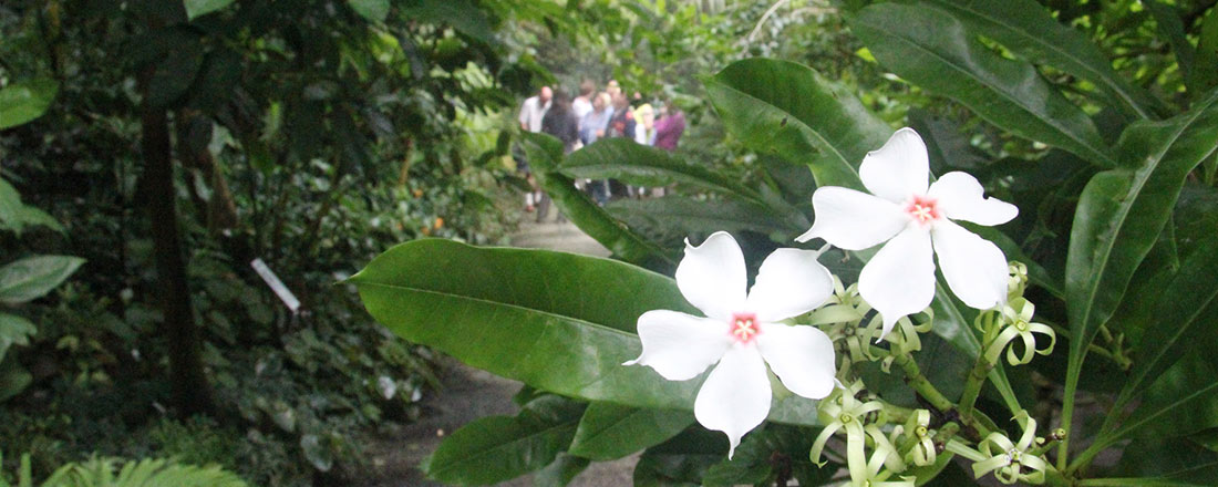 Ökologisch-Botanischer Garten Universität Bayreuth