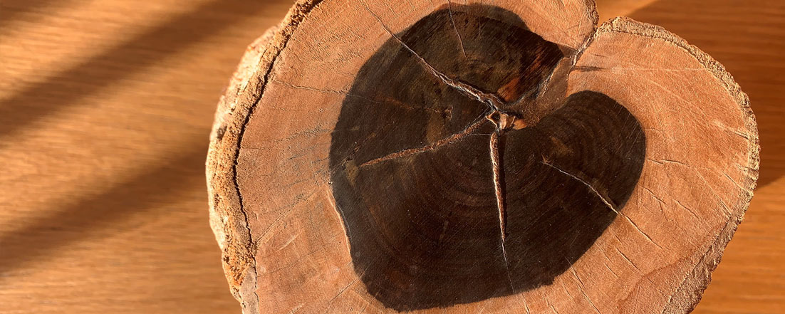 Ebenholz