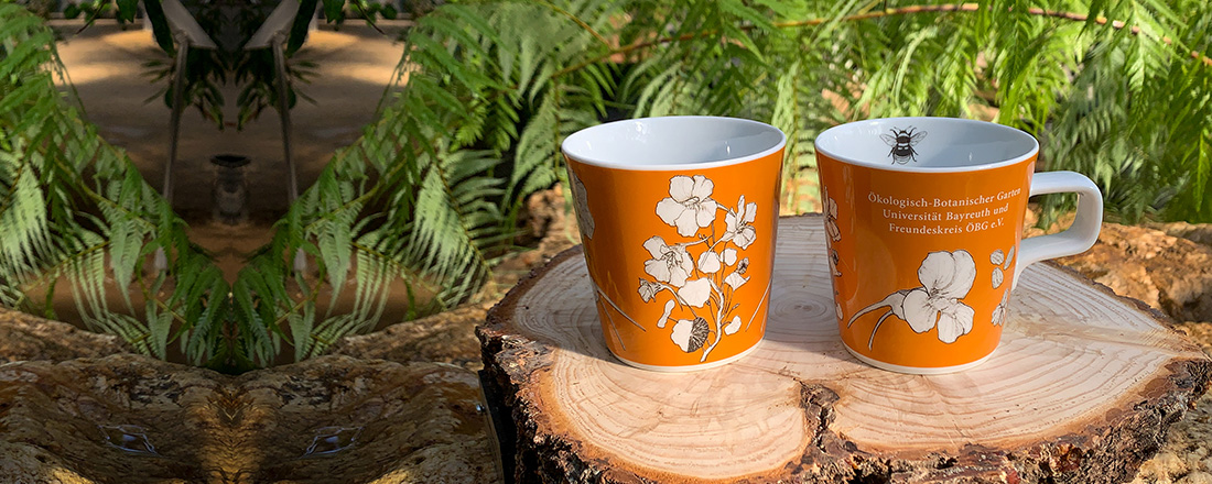 Freundeskreis-Tasse