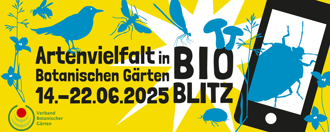 BioBlitz mit iNaturalist