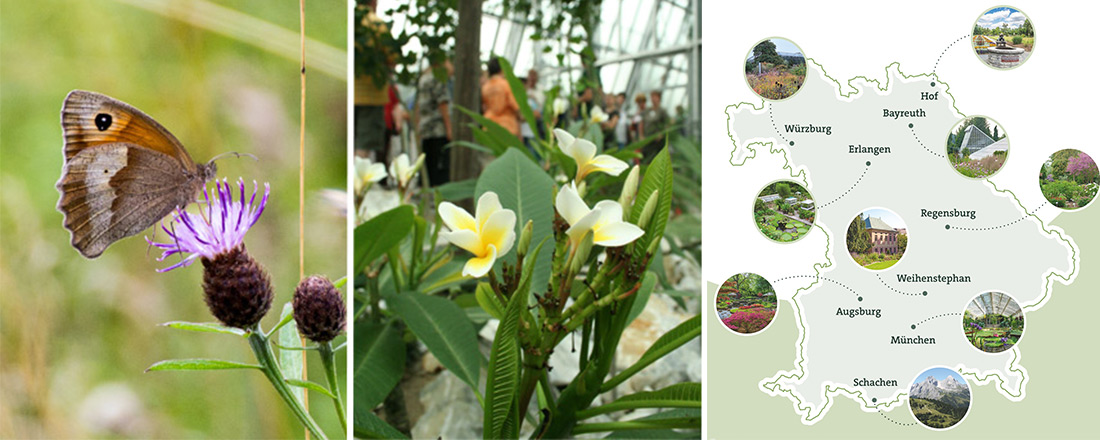 Ausstellung Bayerische Botanische Gärten