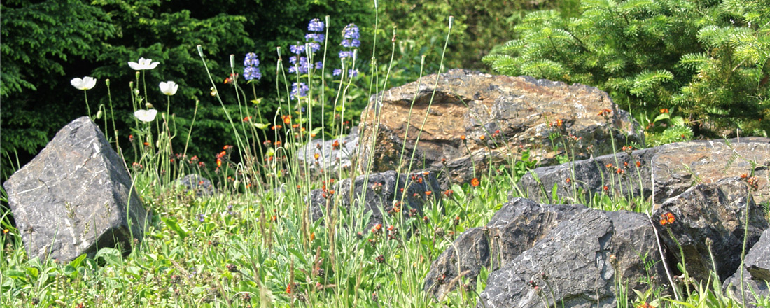 Führung Gesteine im Ökologisch-Botanischen Garten