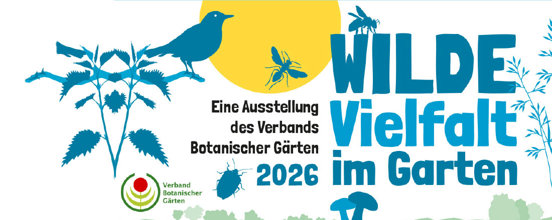 Ausstellung Wilde Vielfalt