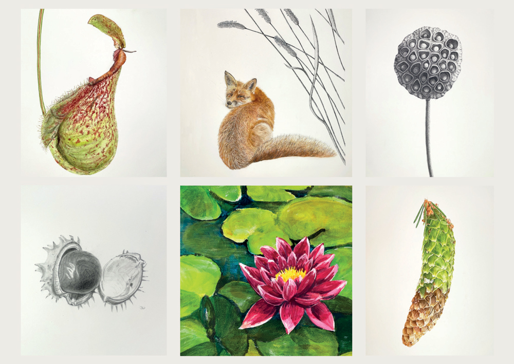 Faszination Natur - Ausstellung im Ökologisch-Botanischen Garten