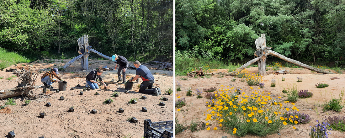 Sandarium in der Entwicklung