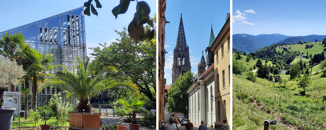 Freundeskreis