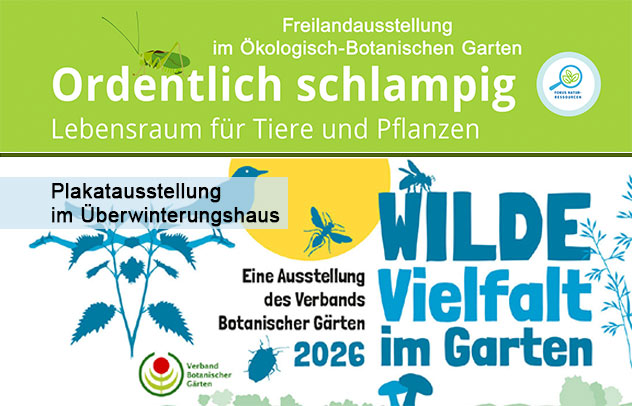 Wilde Vielfalt